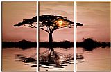AFRICAN SUNSET by landscape